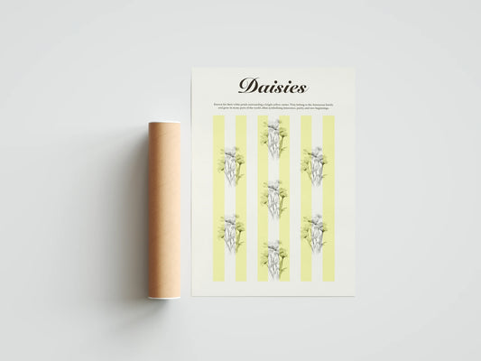 Plakat botaniczny stokrotki Daisies