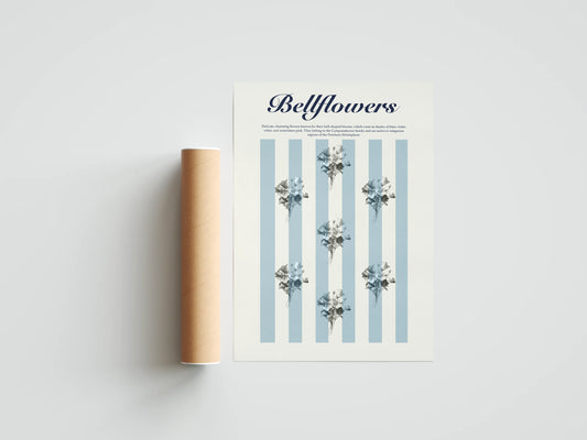 Plakat botaniczny dzwonki Bellflowers