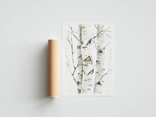 Plakat botaniczny brzoza Birch