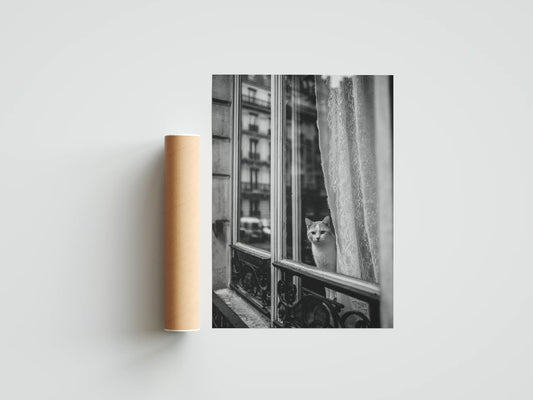 Plakat czarno-biały Behind the Curtain