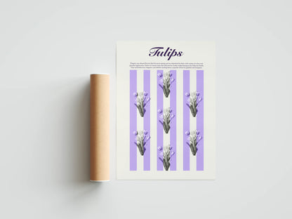 Plakat botaniczny tulipany Tulips