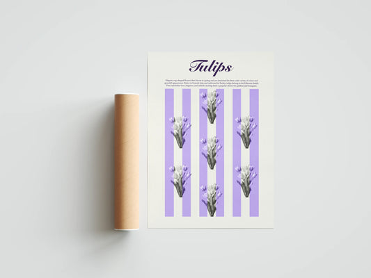 Plakat botaniczny tulipany Tulips