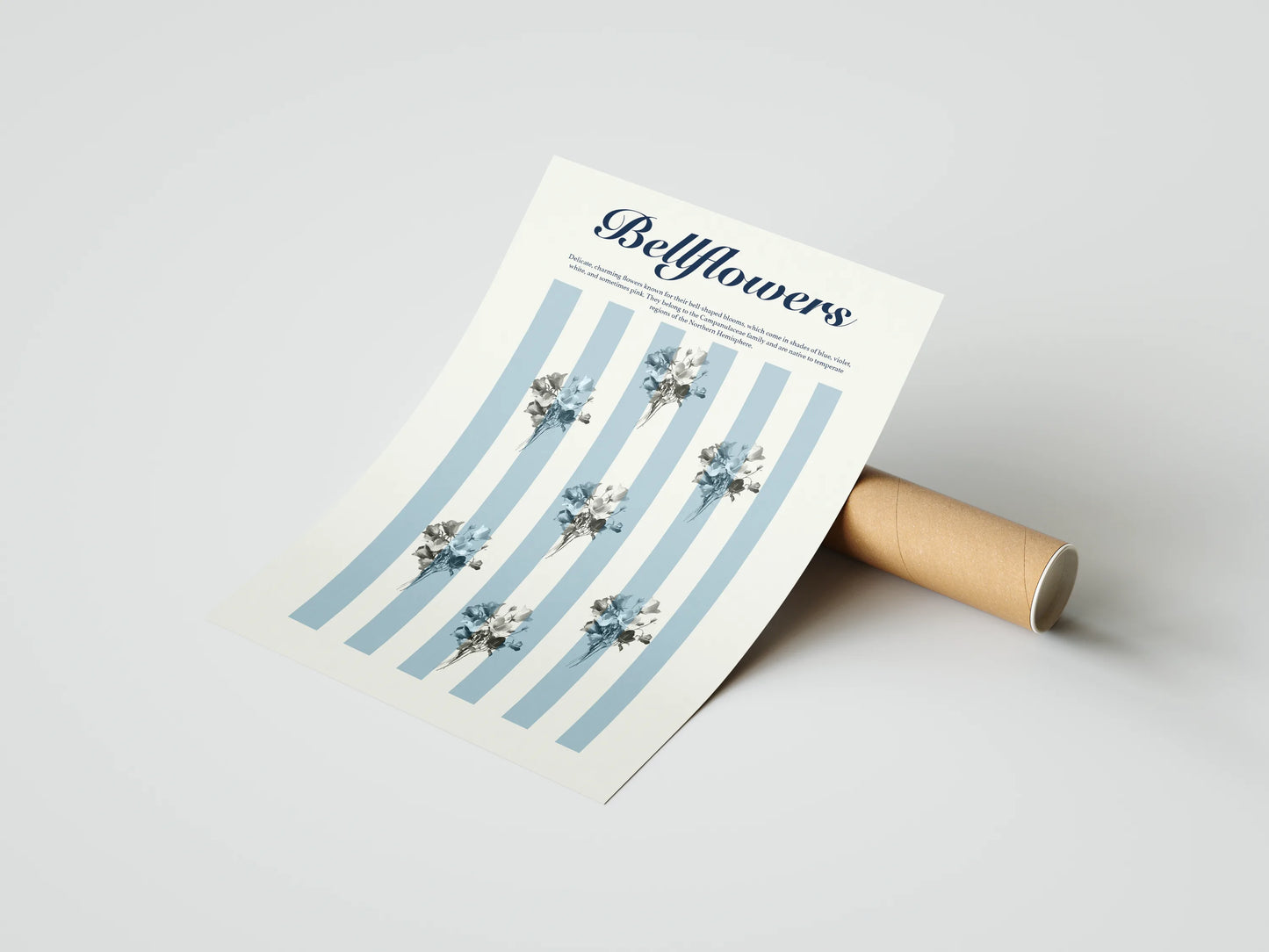 Plakat botaniczny dzwonki Bellflowers