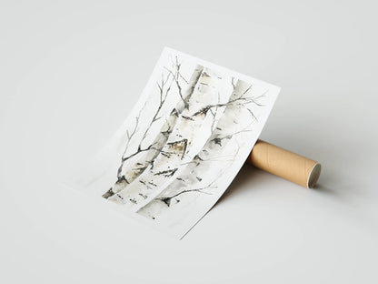 Plakat botaniczny brzoza Birch