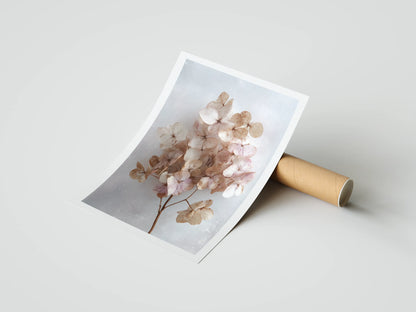Plakat botaniczny suszona hortensja Dried Hydrangea
